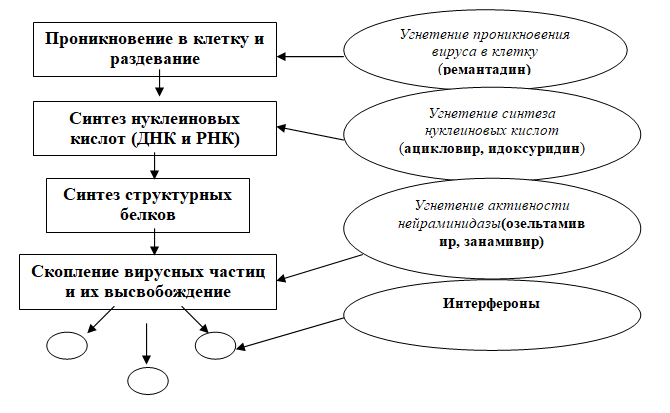 Противовирусные средства