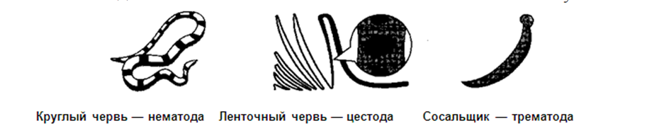 Противоглистные (антигельминтные) средства